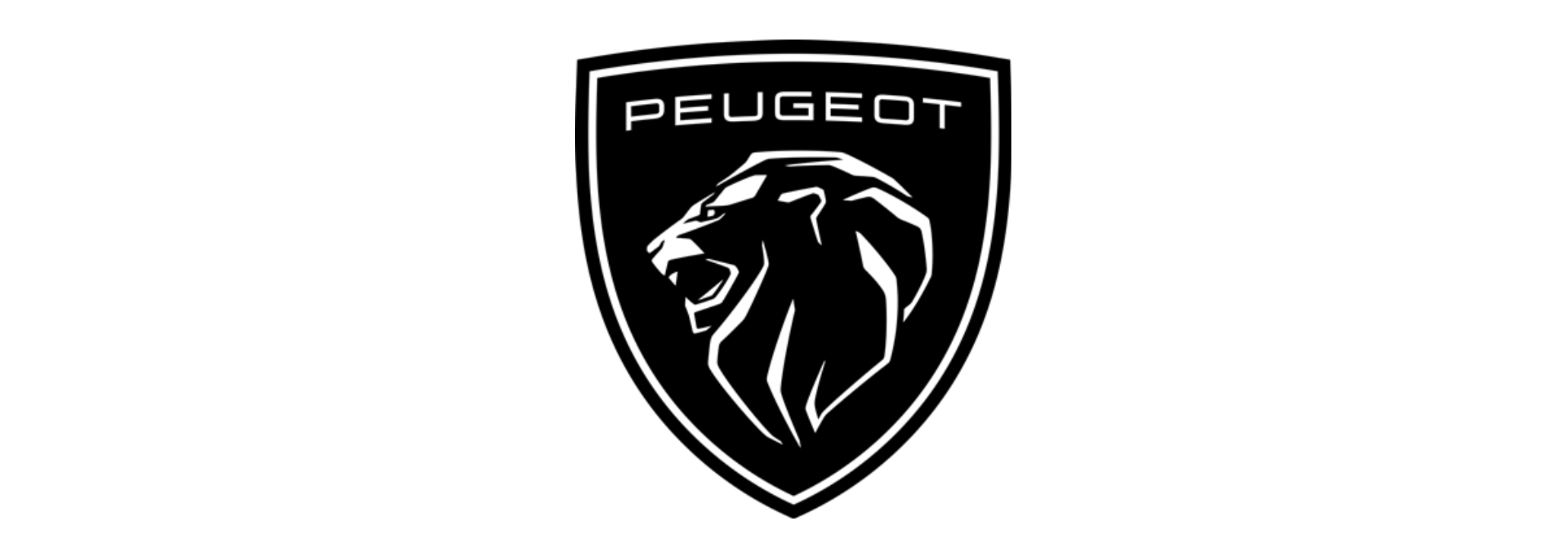 normas peugeot PF 90.117, D10 5495, D10 5535, D10 5517, D45 1727, B20 0250, SAE J1756, LP-463KC-09-01