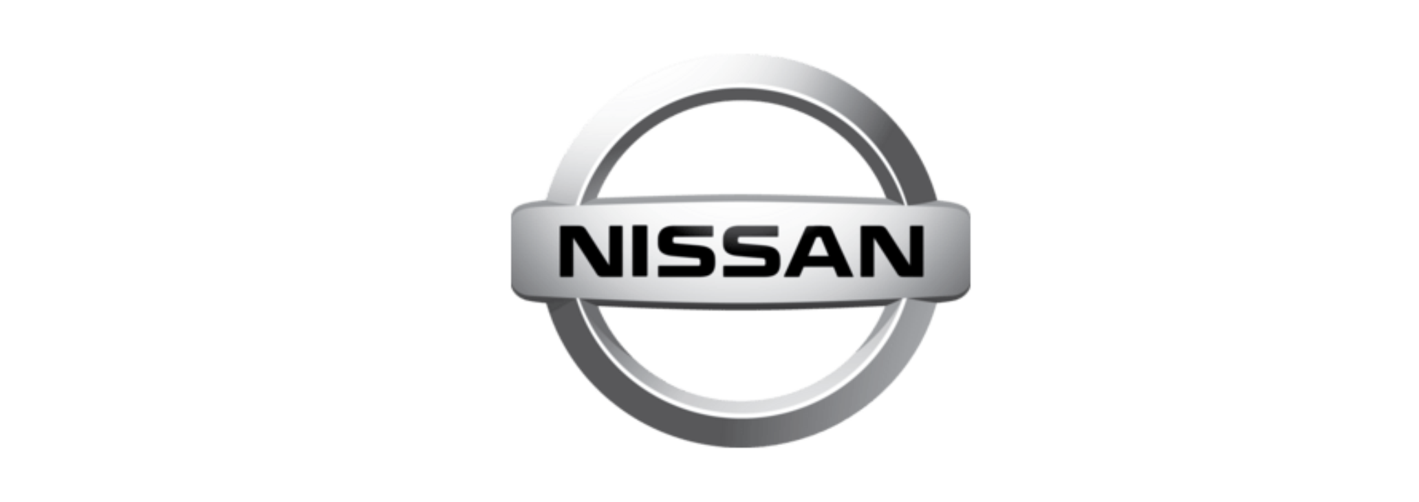 normas nissan NES-M-0402 NES-M-0403 NES-M-0297 RNES-B-00114 RNES-B-00115